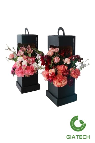 باکس هدیه گل میخک دوتایی