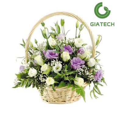 سبد گل لیسیانتوس
